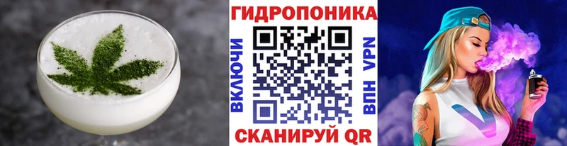 Cannafood конопля  Гусиноозёрск 