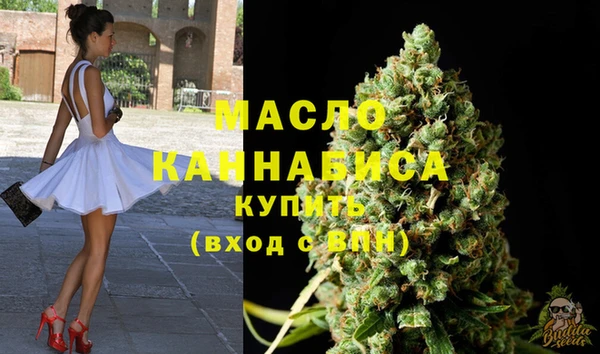 дмт Алексин