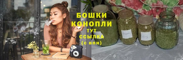 дурь Алексеевка